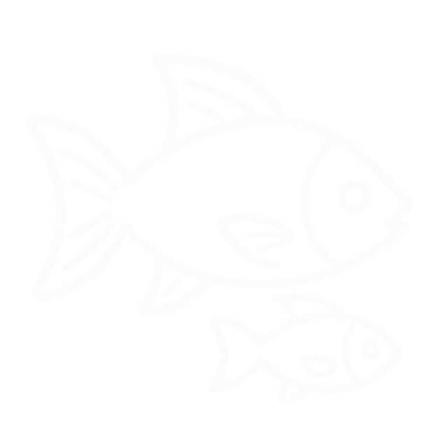 Peixe Diversos