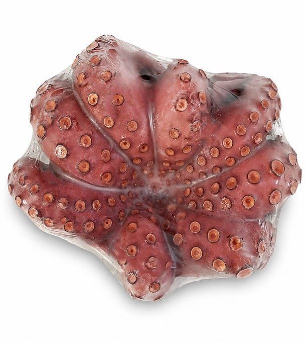 POLVO INTEIRO COZ. 1000/1500 (cx: +-9KG) - MOYSEAFOOD